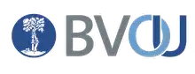 bvou_transparent_2